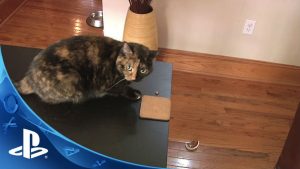 Catlateral Damage é um simulador de gatos (!) para PS4