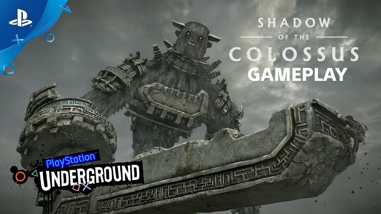 Quais são algumas curiosidades sobre o jogo Shadow Of Colossus