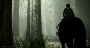 Descoberto “o segredo das moedas douradas” de Shadow of the Colossus