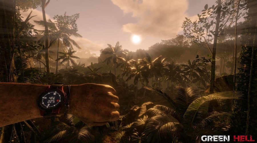 Green Hell, simulador de sobrevivência na Amazônia, é anunciado para PS4