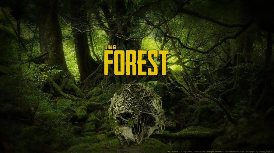 [BGS 2018] The Forest coloca suas habilidades de sobrevivência à prova
