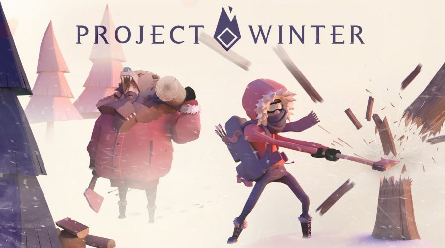 Project Winter, um 