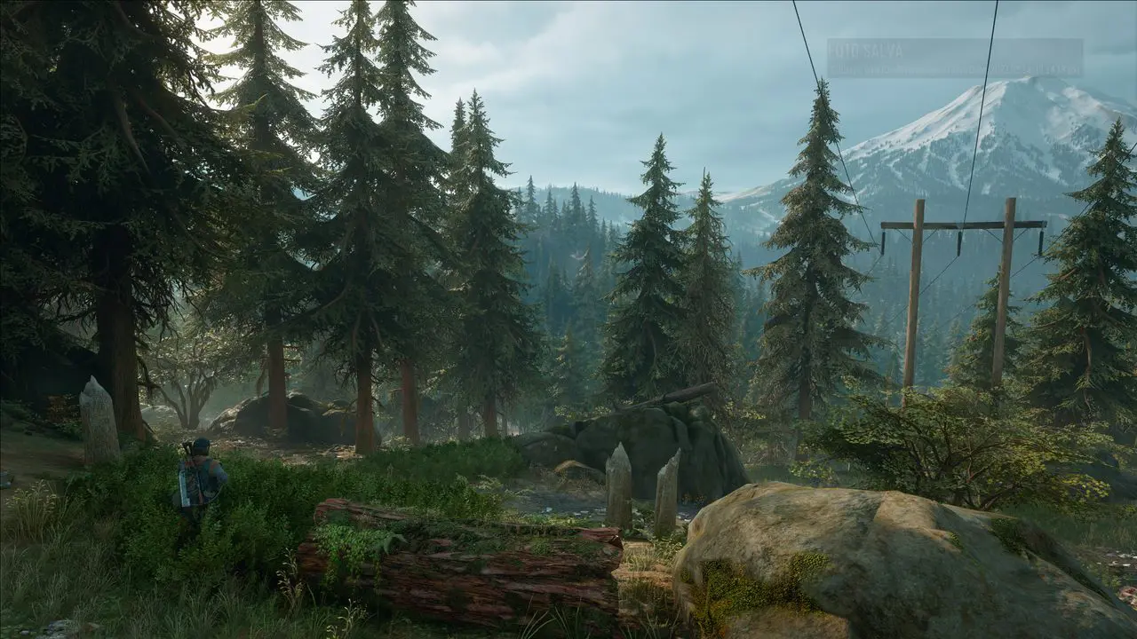 Imagem do protagonista de Days Gone para PC e uma floresta de Oregon com uma montanha no fundo
