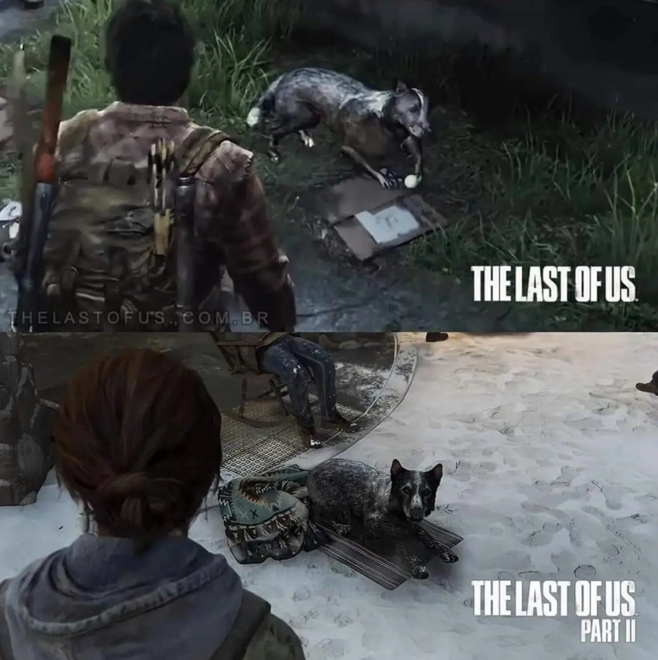Comparação gráfica de um cãozinho em The Last of Us e The Last of Us Part II.