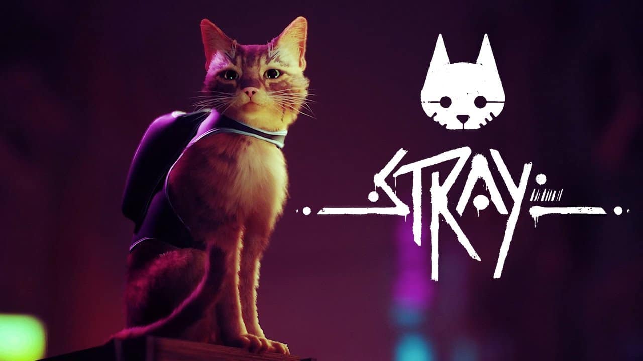 Stray, o jogo do gato, chegará ainda em 2022