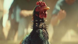 ONG de proteção aos animais pede remoção de rinhas de galo de Far Cry 6