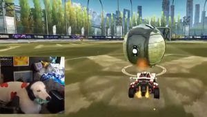 Alô Pelé! Cão marca gol em Rocket League e viraliza na web