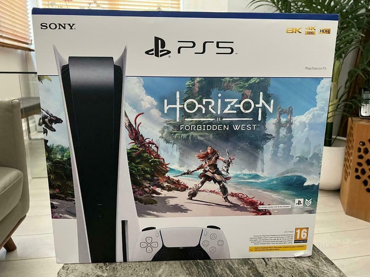 Console Playstation 5 + Game Horizon Forbidden West - PS5 em Promoção na  Americanas