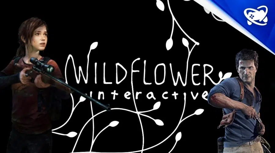 Co-diretor de The Last of Us funda novo estúdio, Wildflower Interactive