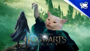 Em brincadeira dos devs, gatos usam Avada Kedavra em Hogwarts Legacy