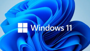 Quase 42% dos jogadores da Steam usam Windows 11, segundo Valve