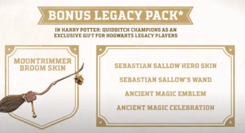 Hogwarts legacy with Harry Potter Quidditch Champions