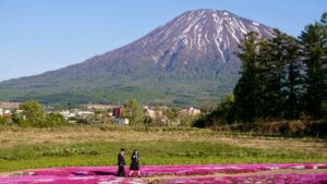 Turistas têm que ser resgatados de pico que “inspirou” Ghost of Yotei