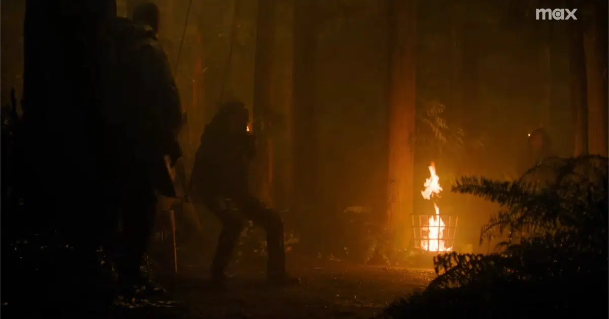 the last of us