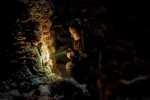 Neil sobre esporos na série de The Last of Us: “queria ter feito no jogo”