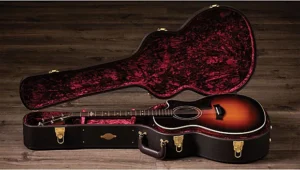 PlayStation vende violão de The Last of Us por R$ 18 mil